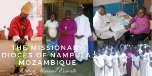 Read more about the article New Anglican Diocese in Mozambique